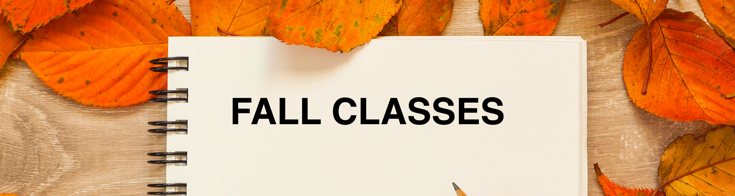 Fall 2026 courses